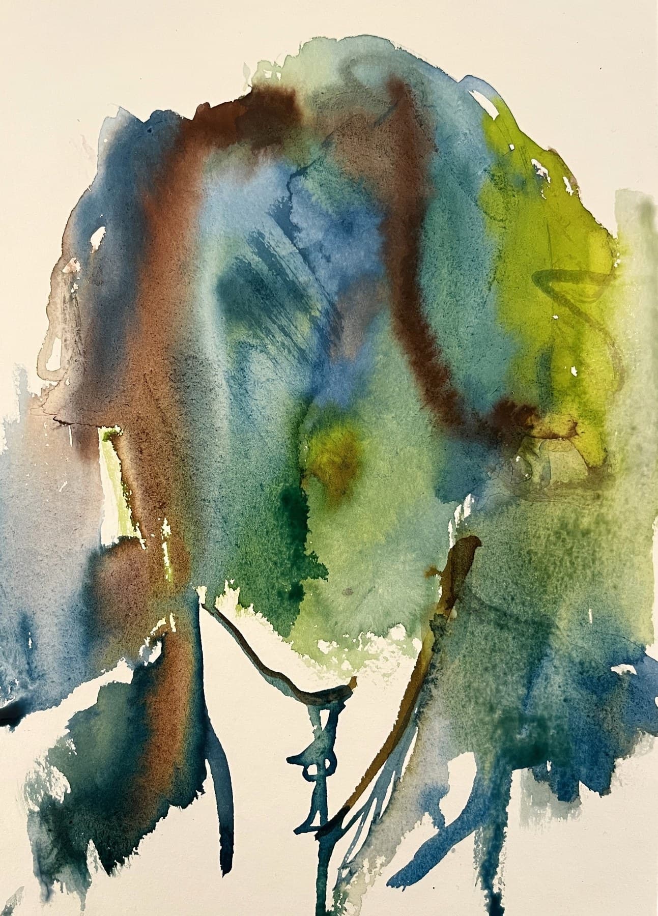 canopy