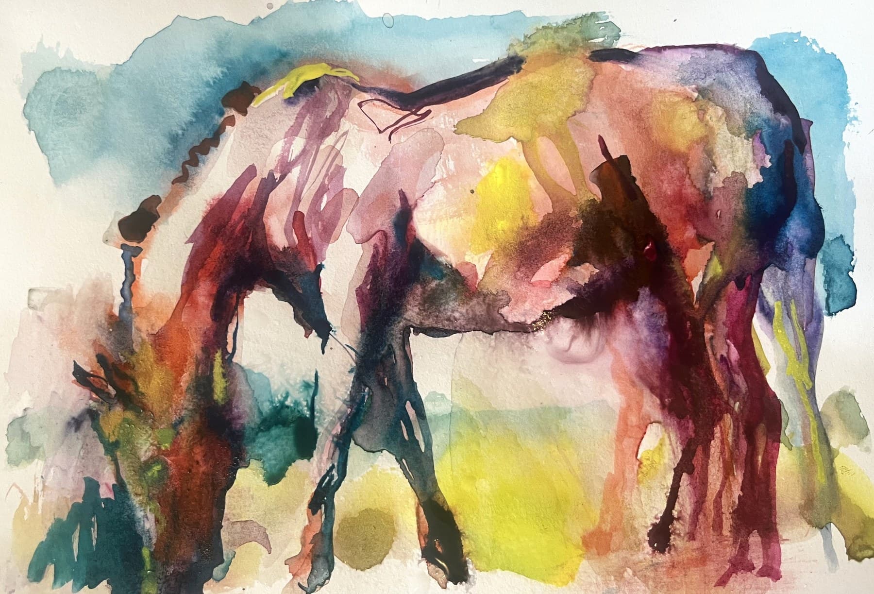 horse