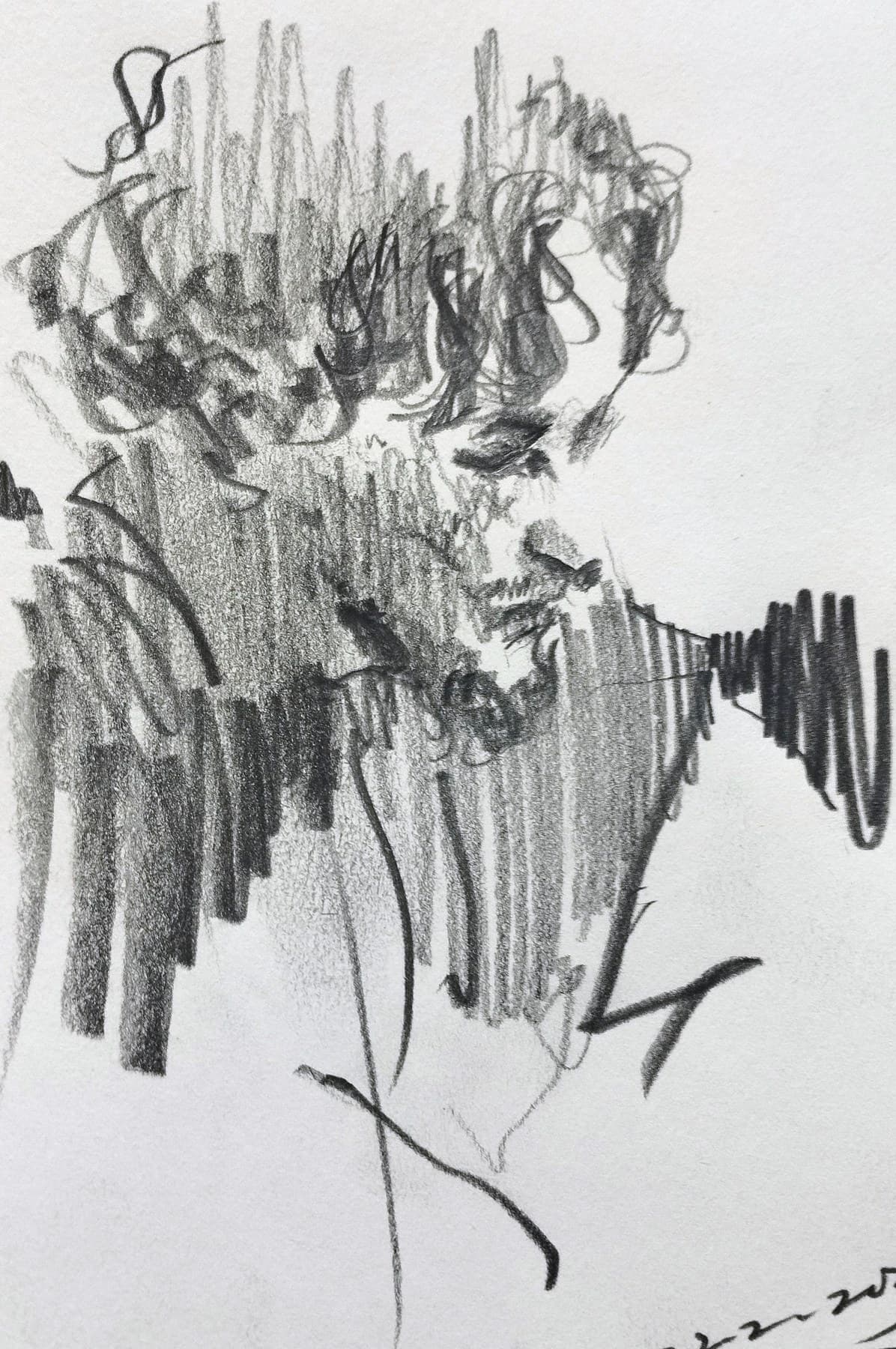 in shadow