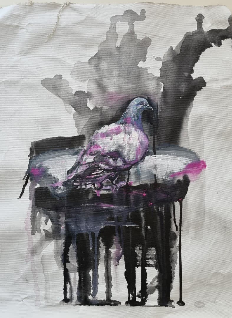 Pigeon